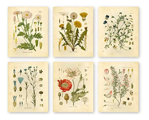 Ink Inc Botanical Prints Wildflower Prints Arte De Pared Flo