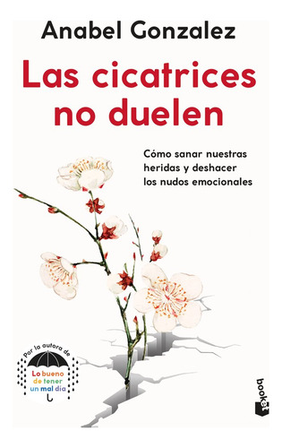 Las Cicatrices No Duelen - Anabel Gonzalez