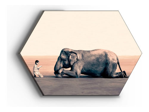 Cuadro Canvas Hexagonal Elefante Hindu 60x90cm