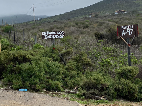 Sector El Incienso, Las Barrancas, Coquimbo Parcela De 2 Has