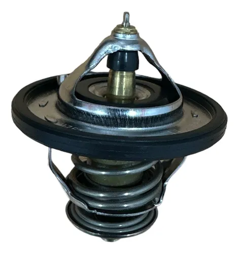 Termostato H1 2008 2009