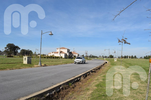 Imagen 7 de 13 de Venta Lote Area 60