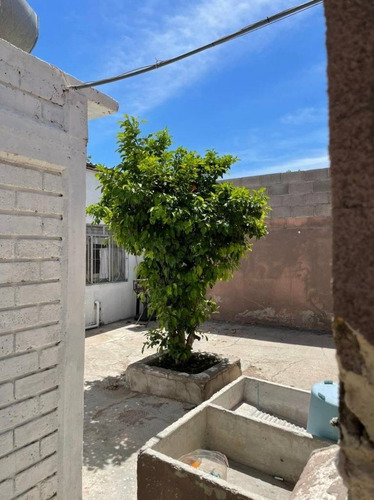 Imagen 10 de 22 de En Venta Casa Muy Amplia Con Departamento Anexo