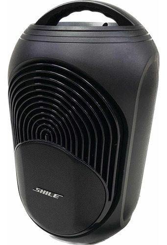 Caixa Ativa Recarregavel Shille Bluetooh Mic Sem Fio Novo