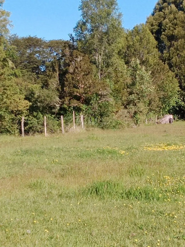 Hermosa Parcela En Puntra Comuna De Ancud