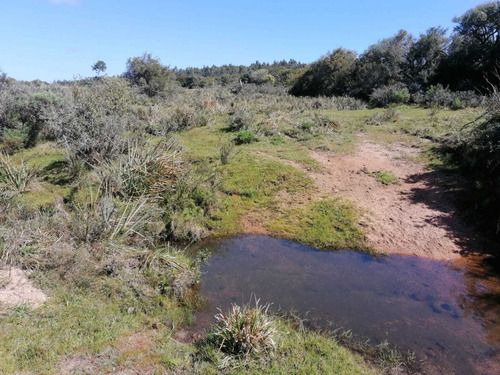 Venta De 30 Hectáreas De Campo En Garzón Maldonado (ref: Ksk-222)