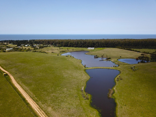 Imagen 7 de 30 de Terreno Lote En Venta Ubicado En Playa Brava, Punta Del Este, Punta Del Este / Maldonado