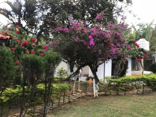 Imagem 4 de 16 de Chácara Para Comprar Traviú Jundiaí - Baa435