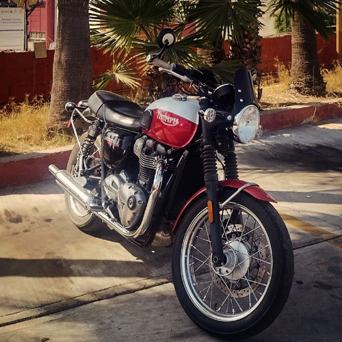 Boneville Edición Especial Bud Ekins T100
