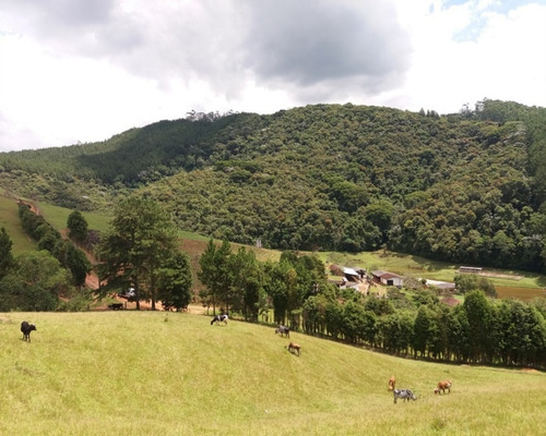 Imagem 2 de 30 de Fazenda Bem Localizada À Venda Em Juquitiba. - 15 - 32982853