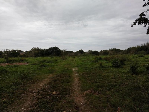 Venta Terreno 6 Has. Santiago De La Peña Tuxpan Veracruz