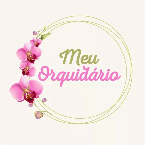 Orquídea Cara De Macaco - Drácula - Touceira * Adulta *