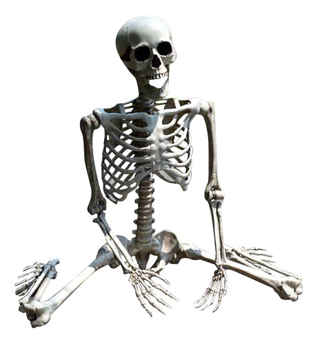 Halloween Esqueleto Prop Humano De Tamaño Completo Cráne [u]