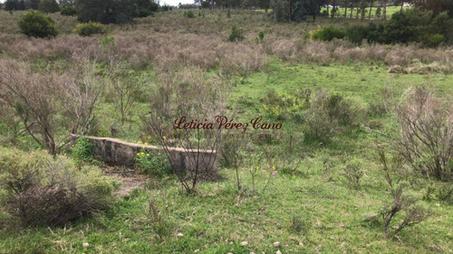 Imagen 3 de 21 de Chacra En Venta En Manantiales Ruta 104, 30 Has