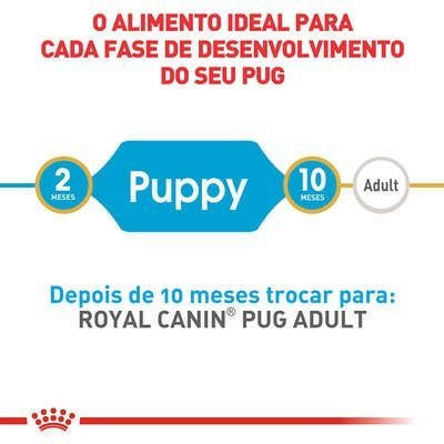Ração Royal Canin Pug Filhote 1kg