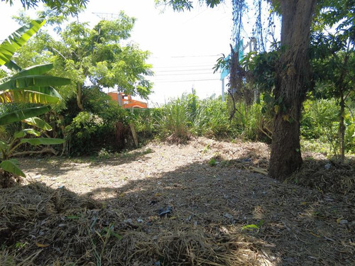 Venta Terreno 1250 M² Col. Manlio Fabio Tuxpan Veracruz