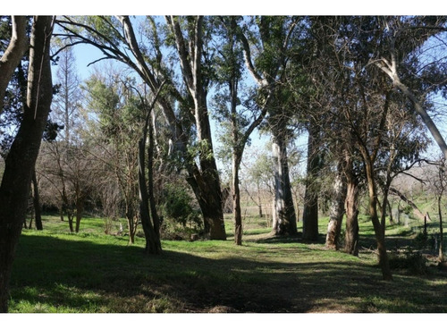 Importante Predio Sobre Ruta 11 Y Fondos Al Río Carcarañá