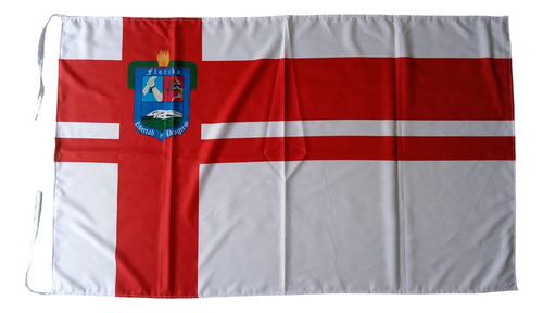 Bandera Departamental De Florida 150x90 Cm, Fabricamos Todas