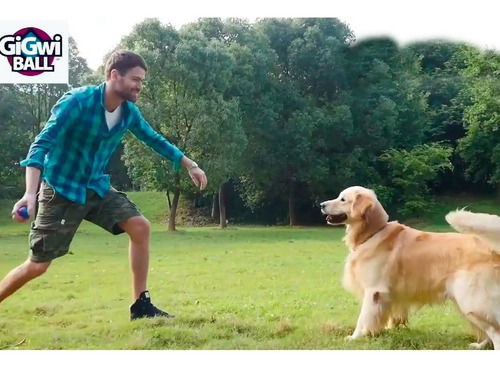 Imagen 4 de 7 de Juguetea Pelotas Para Perros Gigwi L Novedad!