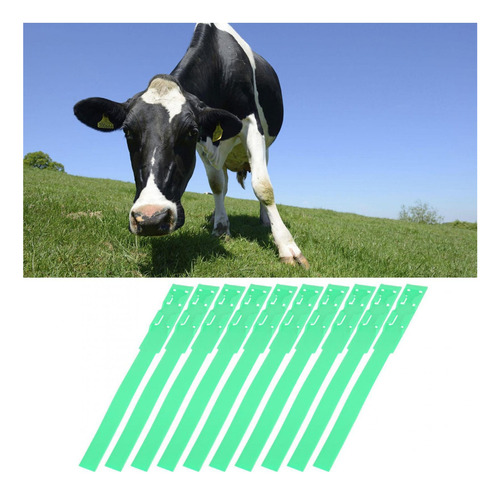Collares De Identificación De Identificación 10 Piezas De