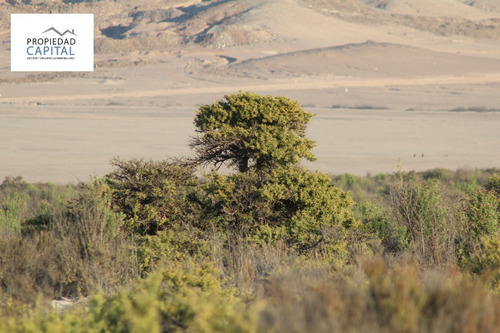 Imagen 2 de 9 de Parcelas En Copiapó +01 Ultima Parcela Disponible 35% Off