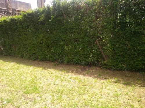 Tres Locales En Venta, Virrey Del Pino.