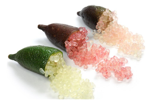 Kit 3 Árbol Limón Caviar Injerto, Frutal Certificada