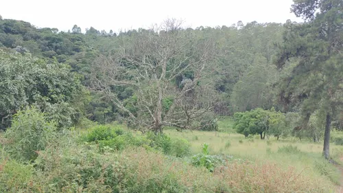 Terreno Na Rota Do Vinho Em São Roque