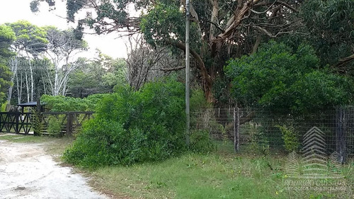 Imagen 7 de 7 de Terreno - Aguas Verdes