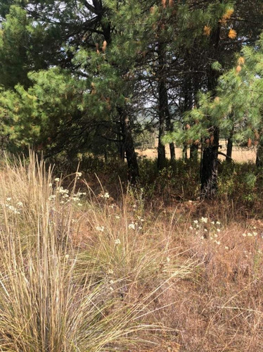 Imagen 17 de 24 de Terreno En Venta En Amanalco De Becerra, Amanalco, Edo. De México.