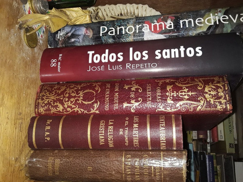 Todos Los Santos Romanos(edición Original 2002).bac