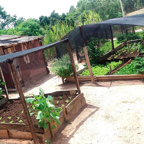 Tela Sombreamento 50% 2un 4x10m 1un 2x6m 80% 15 Agroclipes