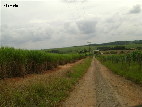 Imagem 3 de 18 de Sitio A Venda, Sitio São Luiz, Elias Fausto - St00044 - 1818833