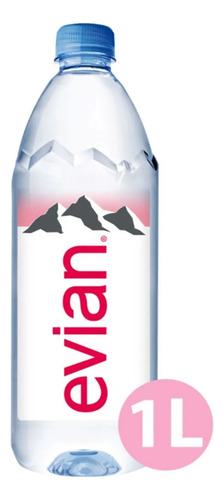 Agua Natural Evian 6 Piezas De 1 Litro C/u