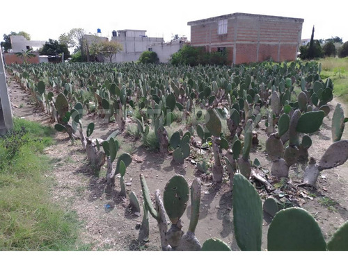 Venta De Terreno 1964.65 Metros Cuadrados En Tlaxcalancingo