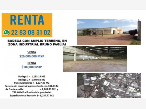 Bodega Comercial En Renta Bruno Pagliai