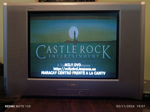 Tv Culon Sony 21 En Buen Estado. (Usado)