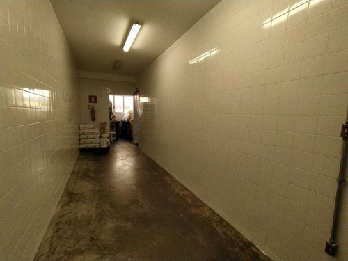 Imagem 13 de 19 de Casa Comercial Com 3 Quartos Para Comprar No Renascença Em Belo Horizonte/mg - 17220