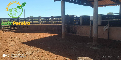 Imagem 3 de 5 de Fazenda À Venda Em Sta, Rita Do Pardo - Ms - De 130.16 Alqueires (pecuária) - 1702
