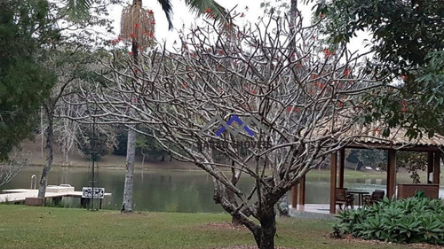 Terreno À Venda, 1051 M² Por R$ 264.000,00 - Cabreúva - Cabreúva/sp - Te0347