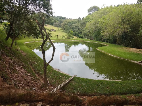 Imagem 12 de 12 de Otima Chacara Com Lago