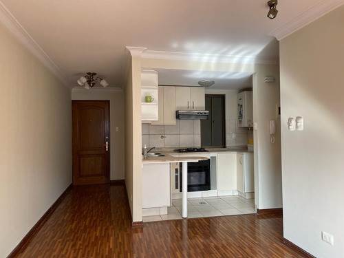 Imagen 3 de 20 de Inicia Tu Vida Independiente En Este Acogedor Y Céntrico Departamento En Venta La Mejor Ubicación