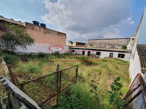 Imagem 9 de 15 de Excelente Terreno - Financia Penha Circular. - Pamf00041