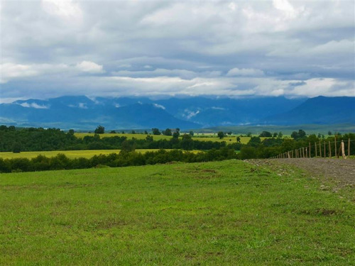 Parcelas Camino A San Fabián De Alico, Rol Propio, 5000m2