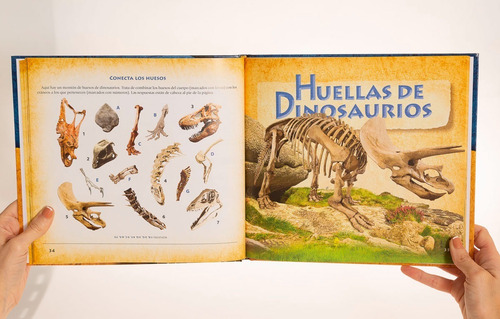 Imagen 4 de 8 de De Dónde Vinieron Los Dinosaurios... Y A Dónde Se Fueron?