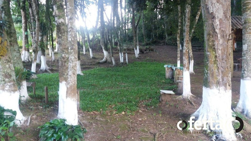 Chacara Com Casa - Mariental - Ref: 691 - V-691