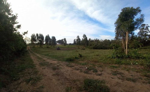 Imagem 4 de 12 de Chácara Em Eucaliptos, Fazenda Rio Grande/pr De 20000m² 1 Quartos À Venda Por R$ 180.000,00 - Ch1510288-s
