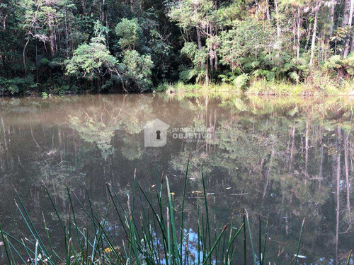 Imagem 7 de 23 de Área, São Lourenço, São Lourenço Da Serra - R$ 980 Mil, Cod: 4246 - V4246