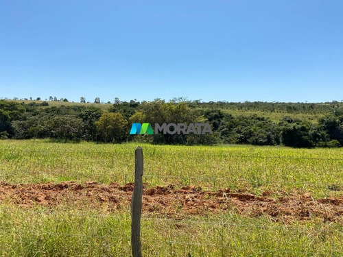 Imagem 5 de 15 de Fazenda - Zona Rural - Ref: 5532 - V-mta5532