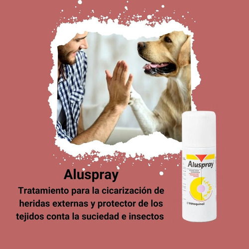 Aluspray Cicatrizante Protector De Heridas 120 Ml